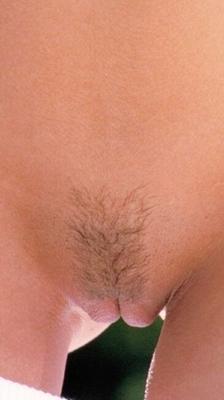 Beaux poils de chatte
