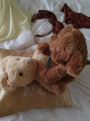 Peluches atrapados en ello