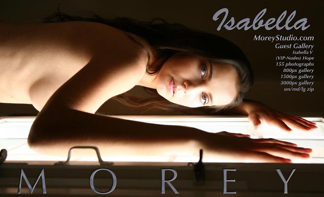 MoreyStudio Isabella V Isabella Hope x