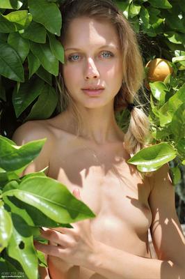 Clarice La Fruta Más Fresca
