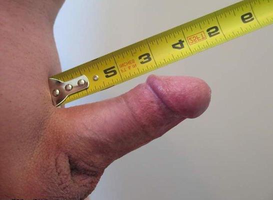 Eu amo pequenos bexeiros (principalmente polegadas)